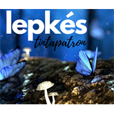 EPSON for use Tintapatron "Lepkés" cyan, T0442,